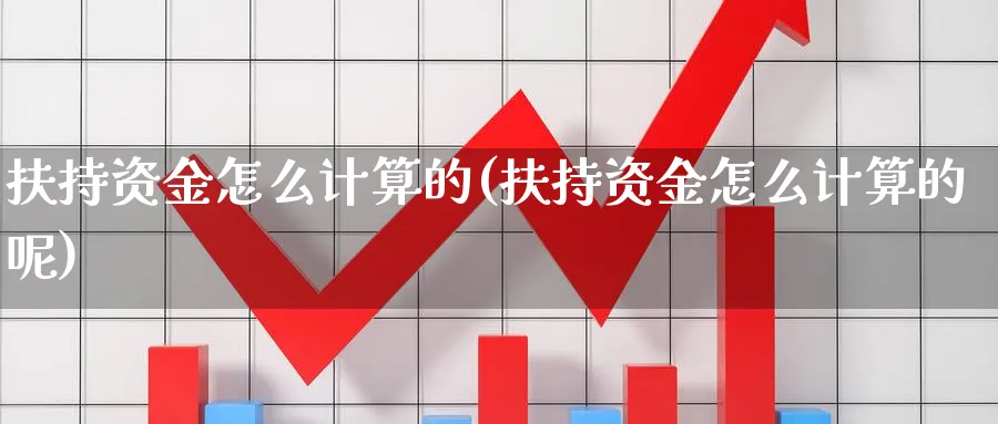 扶持资金怎么计算的(扶持资金怎么计算的呢)_https://www.ercigouzaozhubeng.com_理财技巧_第1张