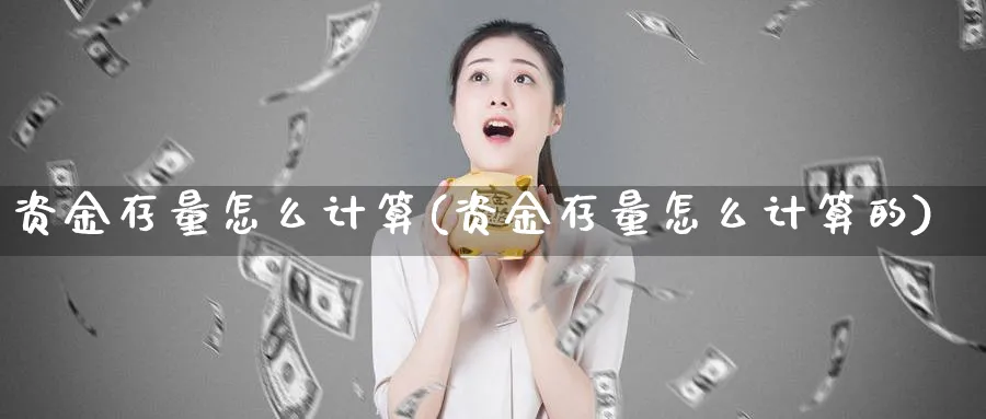 资金存量怎么计算(资金存量怎么计算的)_https://www.ercigouzaozhubeng.com_理财技巧_第1张