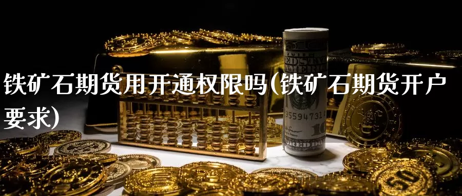 铁矿石期货用开通权限吗(铁矿石期货开户要求)_https://www.ercigouzaozhubeng.com_期货技术_第1张