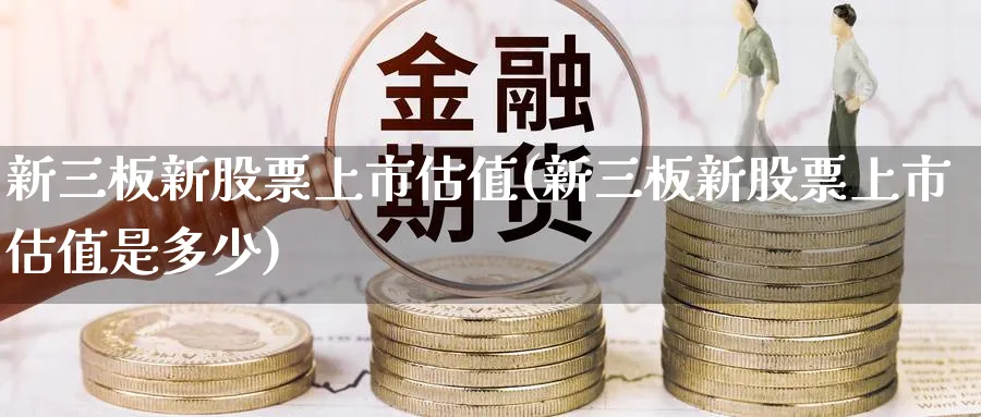 新三板新股票上市估值(新三板新股票上市估值是多少)_https://www.ercigouzaozhubeng.com_理财知识_第1张