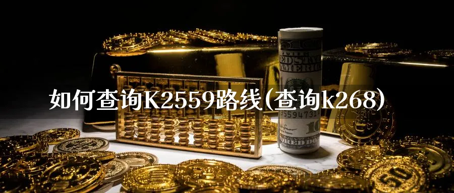 如何查询K2559路线(查询k268)_https://www.ercigouzaozhubeng.com_理财知识_第1张