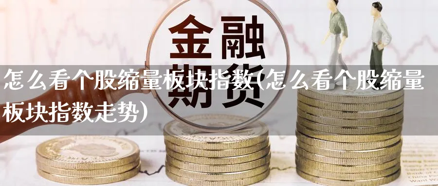 怎么看个股缩量板块指数(怎么看个股缩量板块指数走势)_https://www.ercigouzaozhubeng.com_理财技巧_第1张