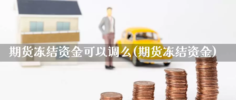 期货冻结资金可以调么(期货冻结资金)_https://www.ercigouzaozhubeng.com_纳指期货_第1张