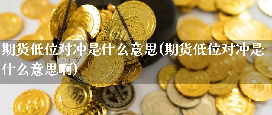 期货低位对冲是什么意思(期货低位对冲是什么意思啊)_https://www.ercigouzaozhubeng.com_黄金资讯_第1张