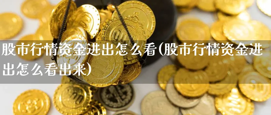 股市行情资金进出怎么看(股市行情资金进出怎么看出来)_https://www.ercigouzaozhubeng.com_理财技巧_第1张