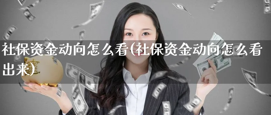 社保资金动向怎么看(社保资金动向怎么看出来)_https://www.ercigouzaozhubeng.com_理财技巧_第1张