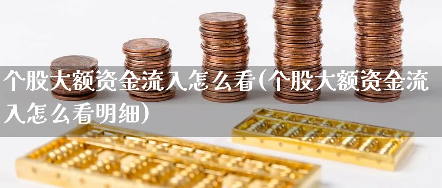 个股大额资金流入怎么看(个股大额资金流入怎么看明细)_https://www.ercigouzaozhubeng.com_理财技巧_第1张