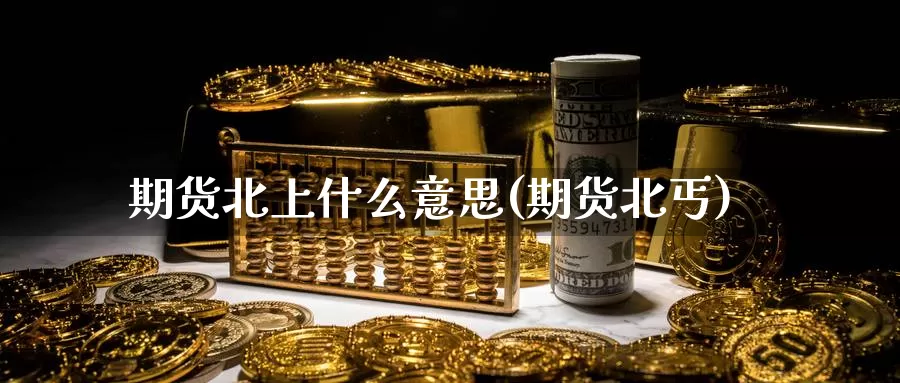 期货北上什么意思(期货北丐)_https://www.ercigouzaozhubeng.com_期货分析_第1张