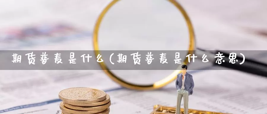 期货普麦是什么(期货普麦是什么意思)_https://www.ercigouzaozhubeng.com_股票市场_第1张